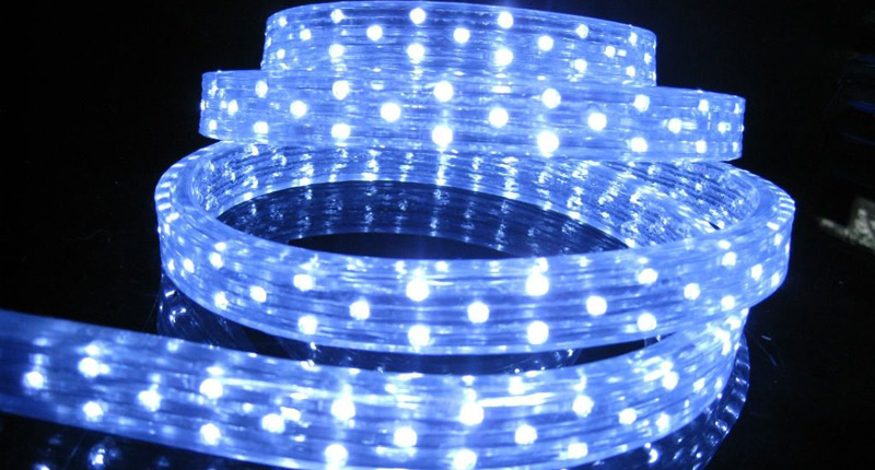 照明行业麻豆黄色在线观看